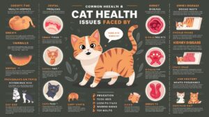 Cat Health